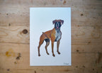 Boxer Dog Print