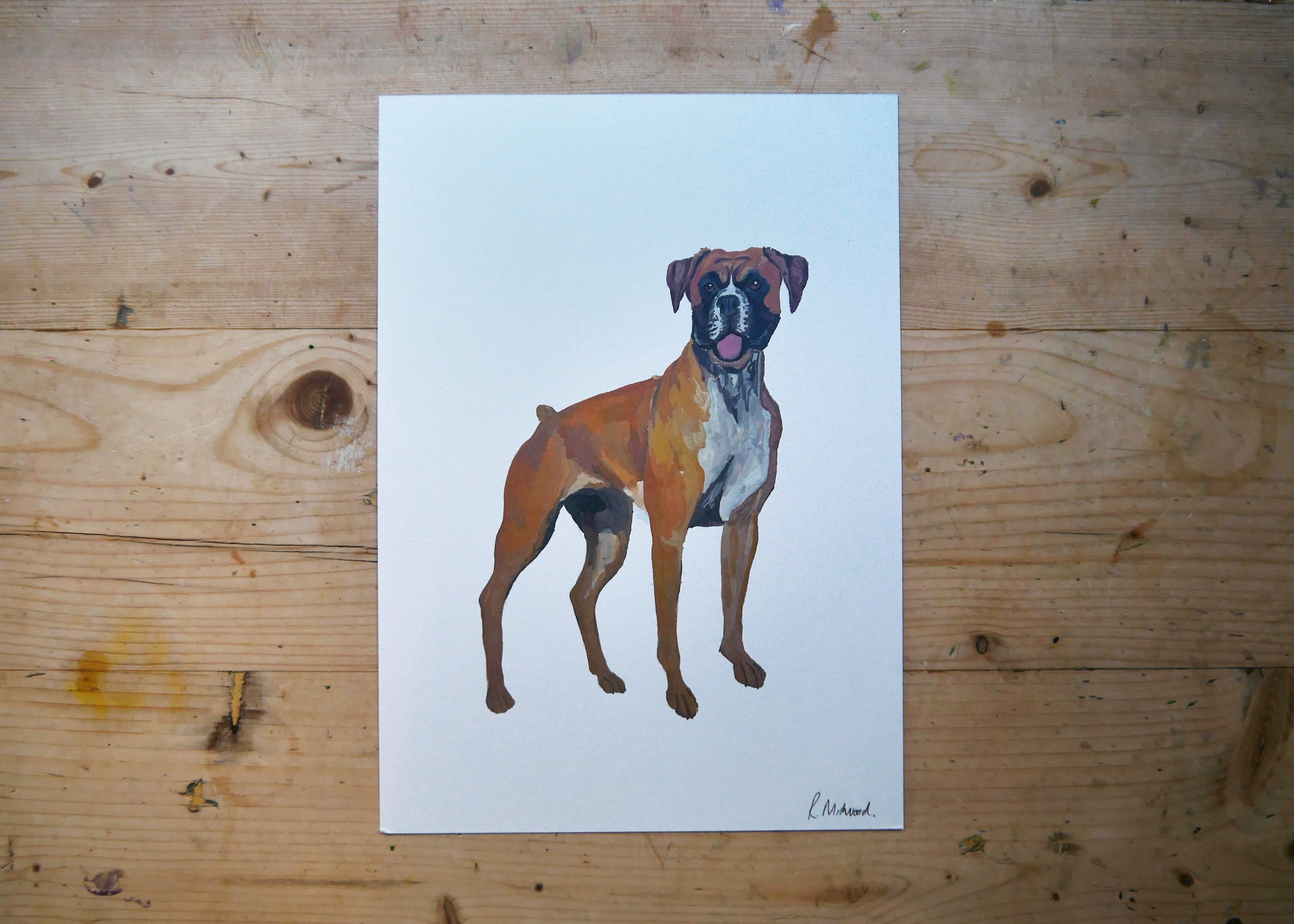 Boxer Dog Print
