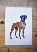 Boxer Dog Print