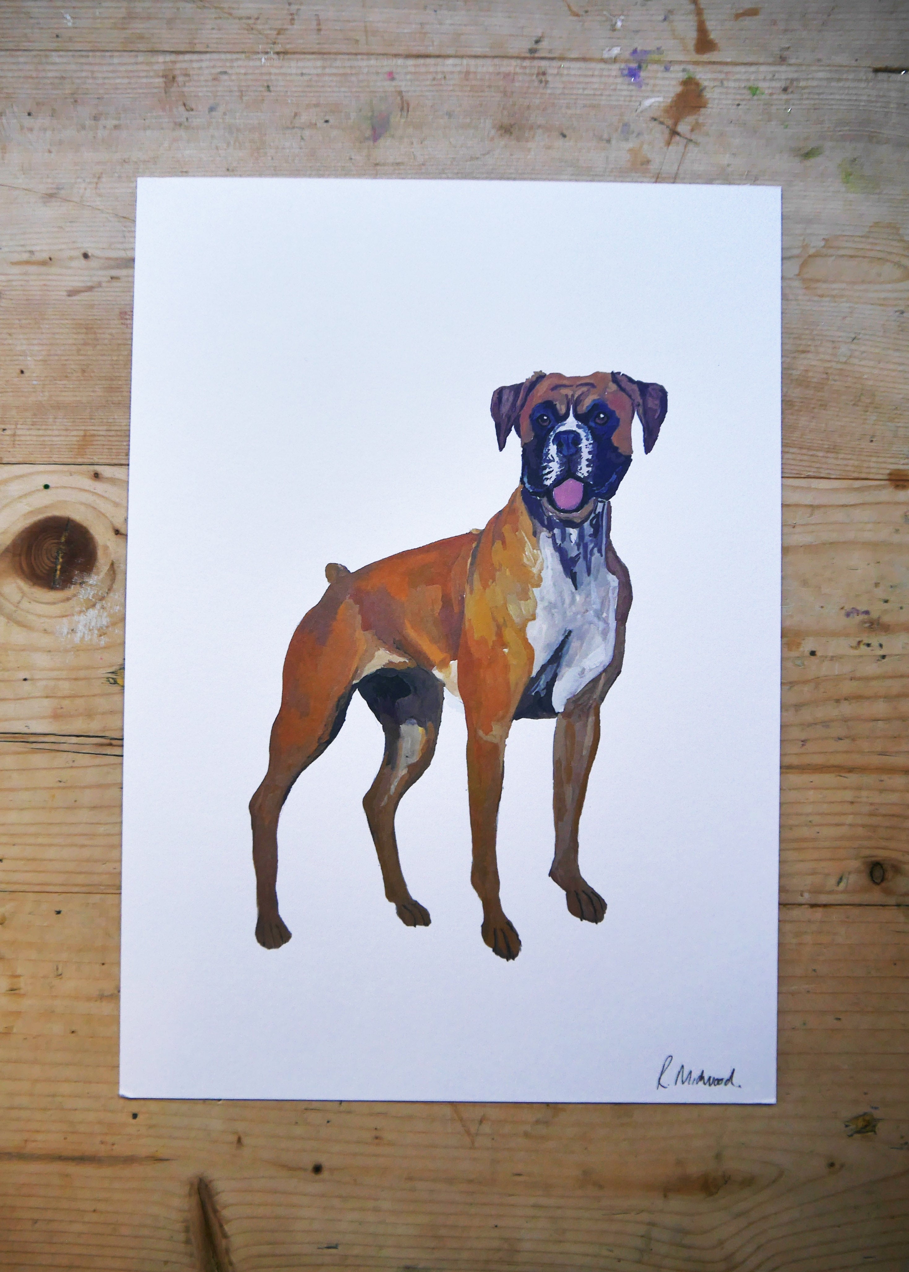 Boxer Dog Print