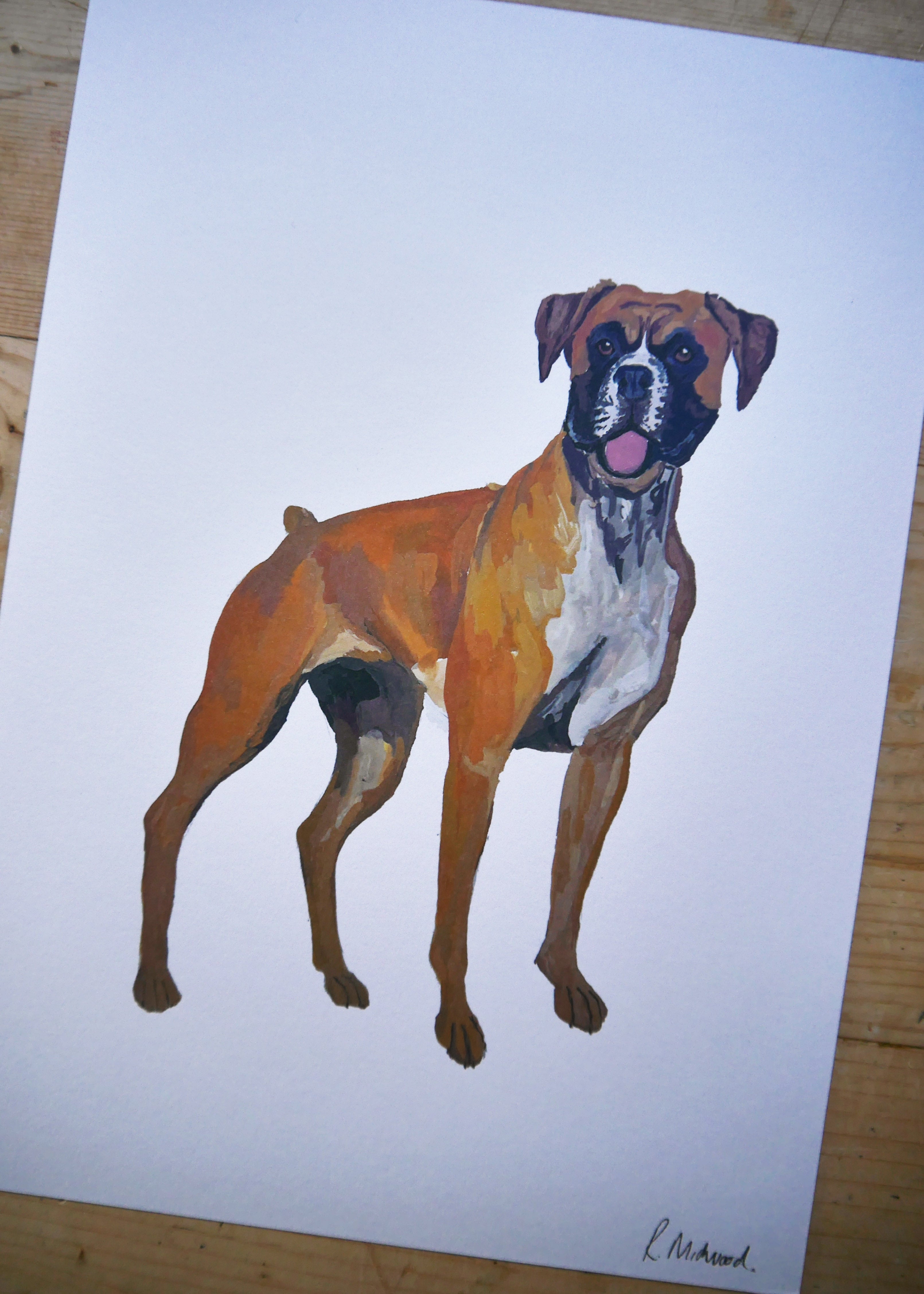 Boxer Dog Print