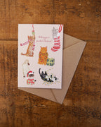 Fun Cat Christmas Card Pack