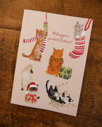 Fun Cat Christmas Card Pack