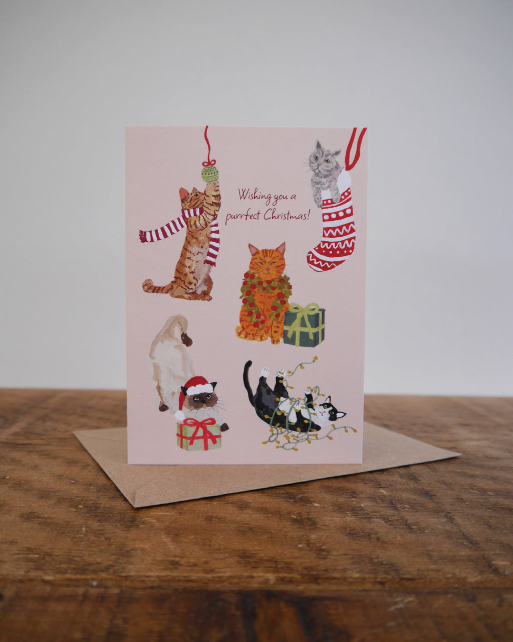 Fun Cat Christmas Card Pack