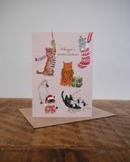 Fun Cat Christmas Card Pack