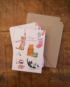 Fun Cat Christmas Card Pack