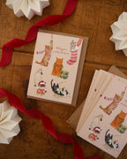 Fun Cat Christmas Card Pack