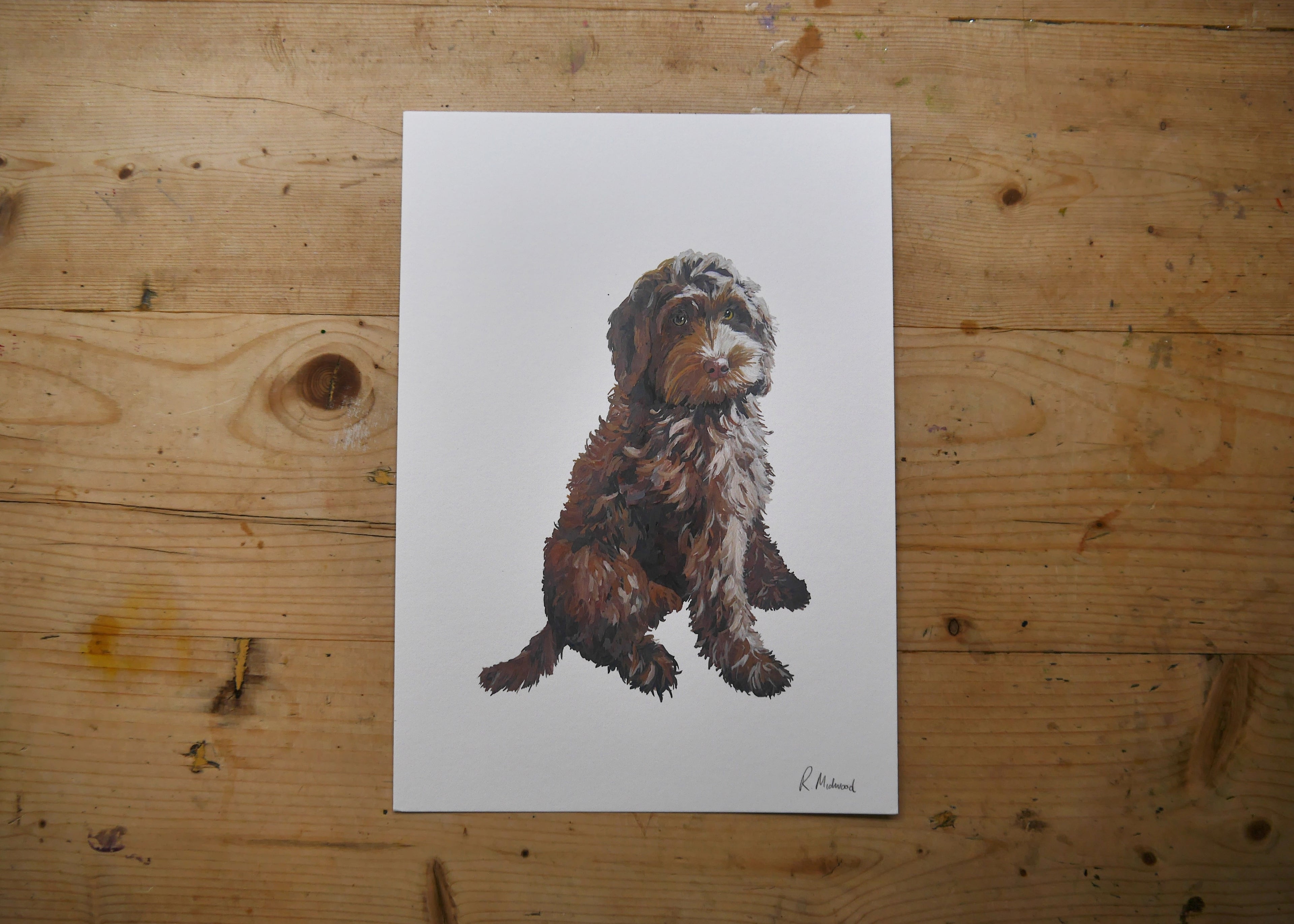 Cockapoo Dog Print