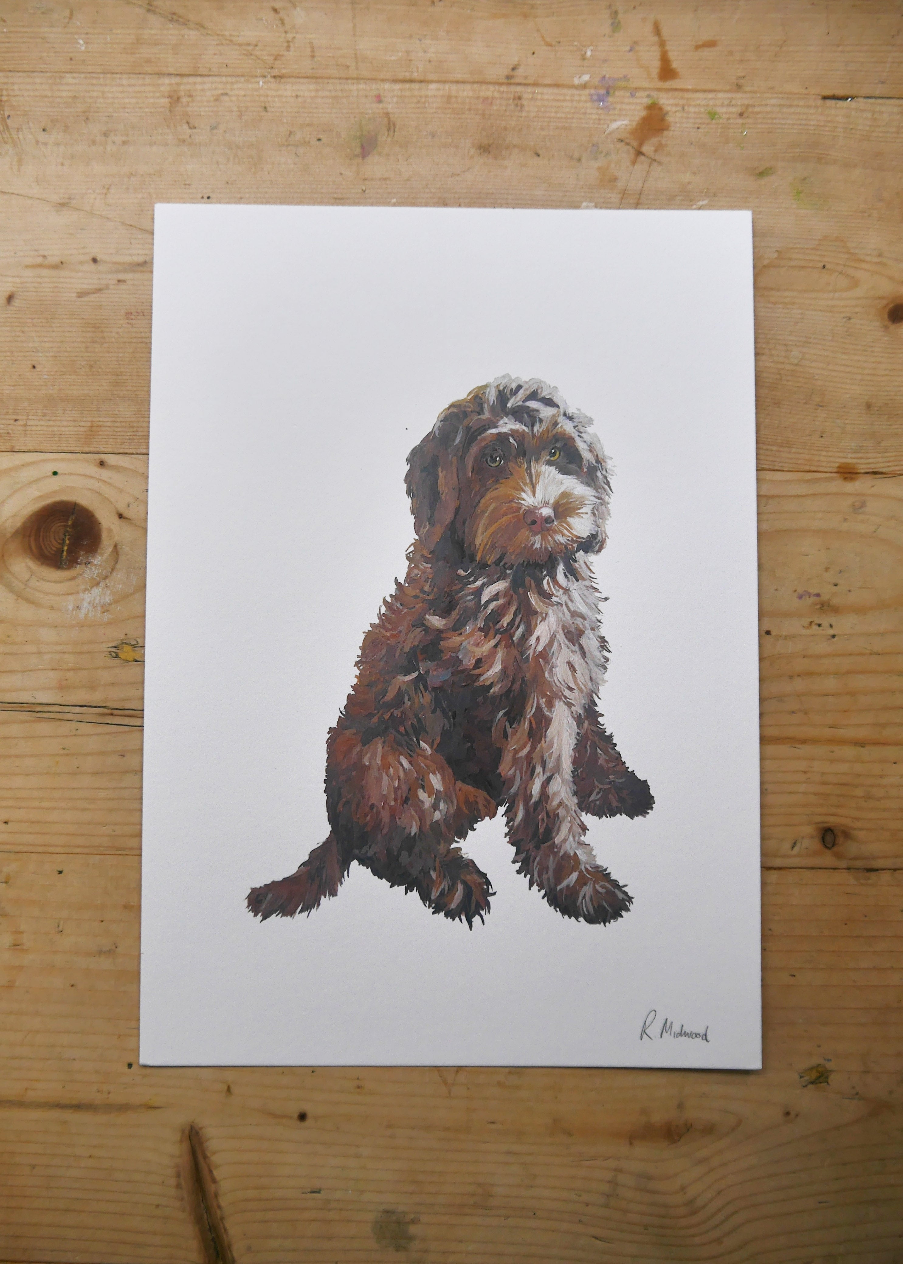 Cockapoo Dog Print