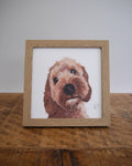 Cockapoo Small Framed Print