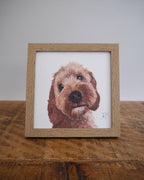 Cockapoo Small Framed Print