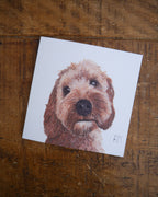 Cockapoo Greetings Card