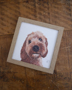 Cockapoo Small Framed Print