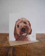 Cockapoo Greetings Card