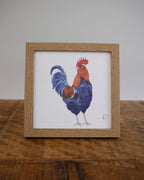Cockerel Small Framed Print