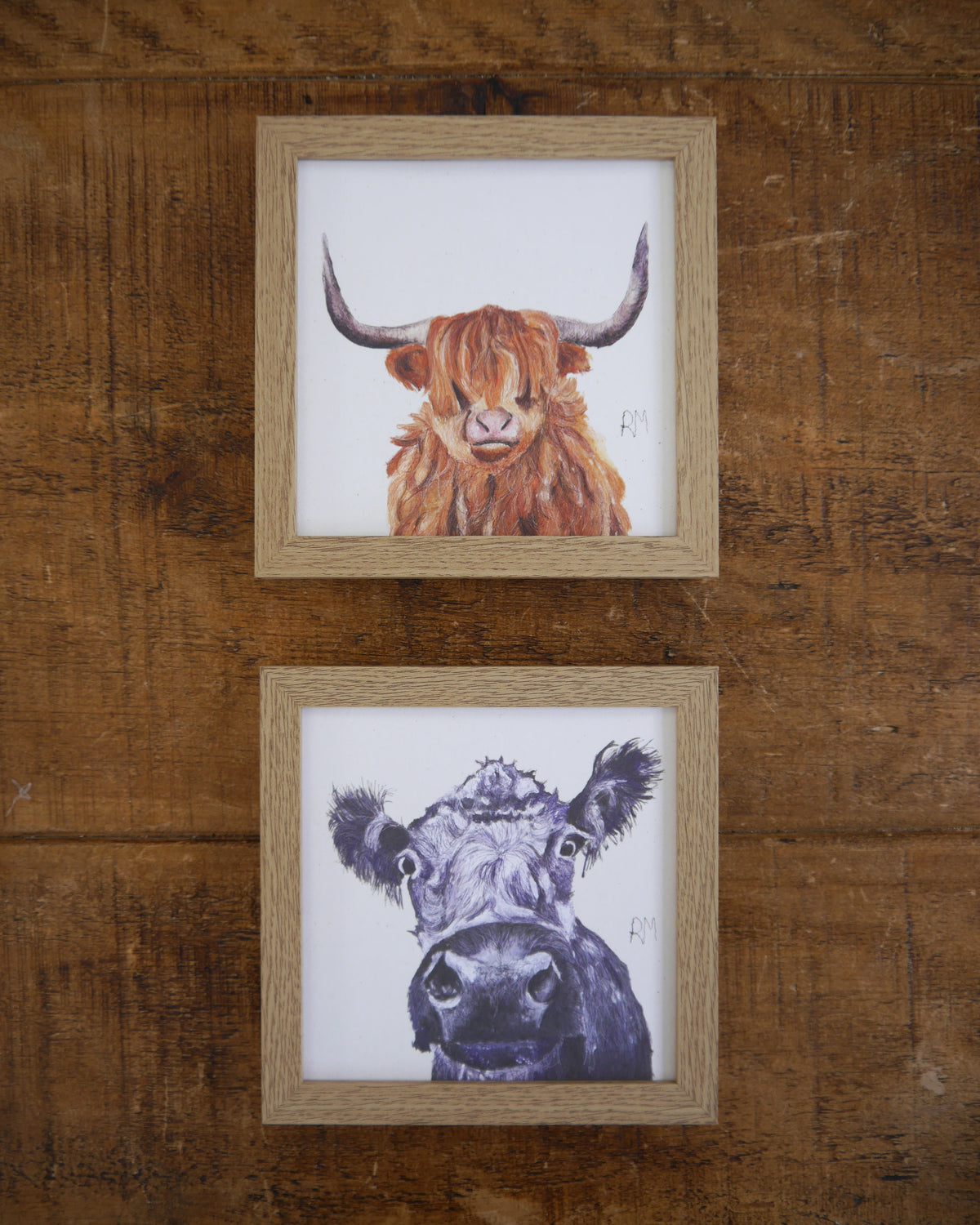 Cow Small Framed Print