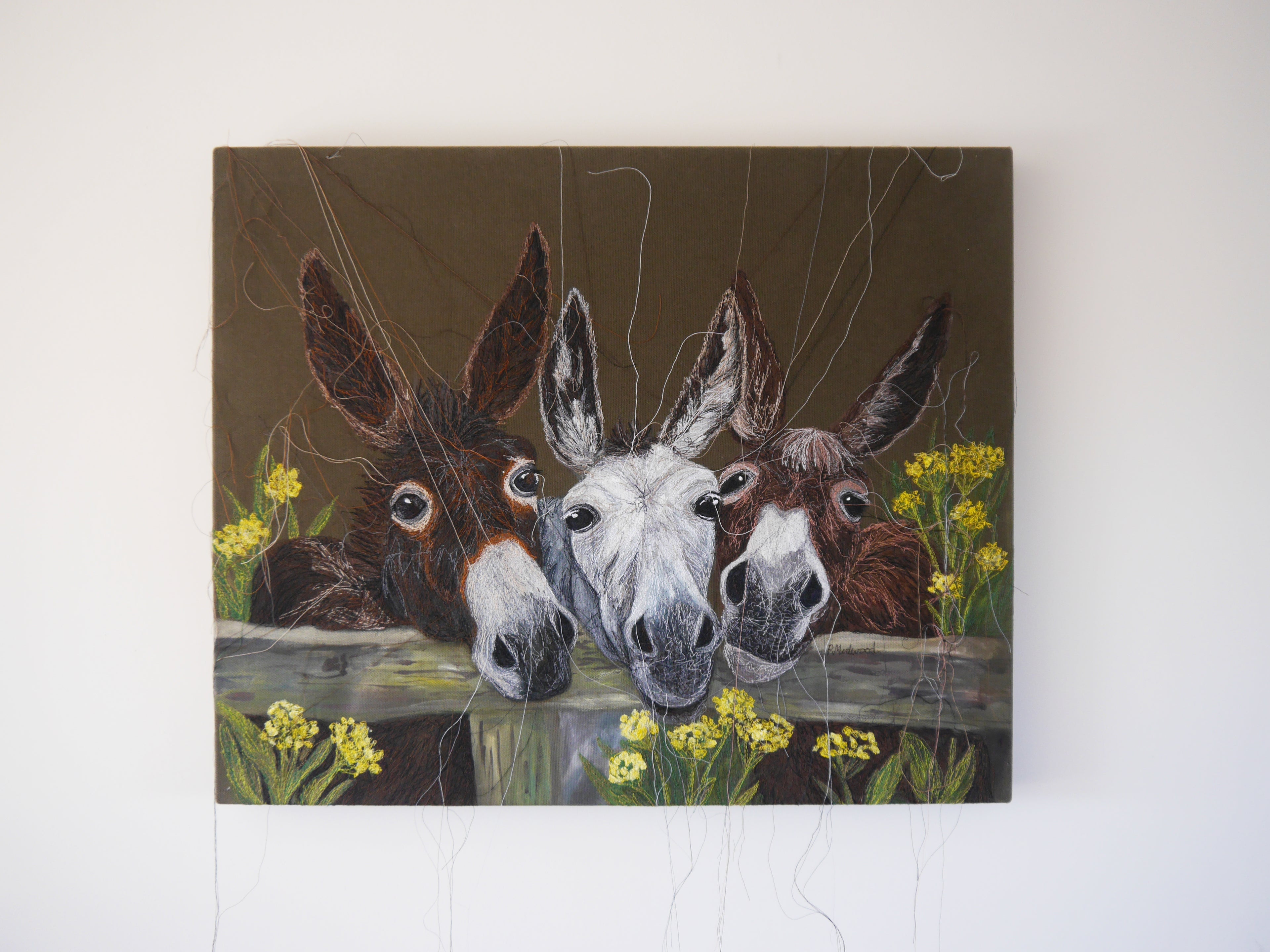Donkeys Art Print