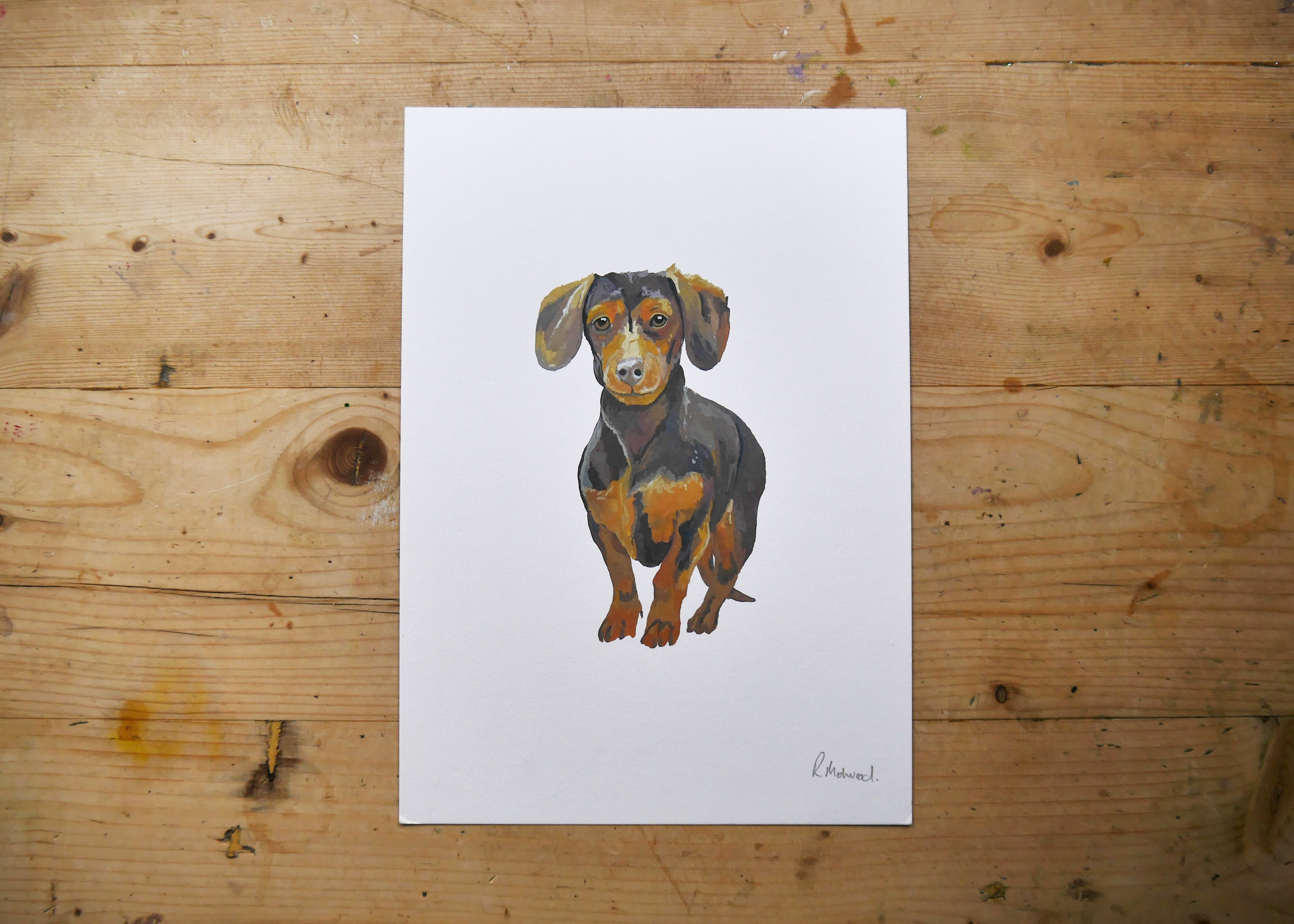 Dachshund Dog Print