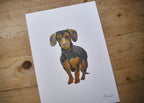Dachshund Dog Print