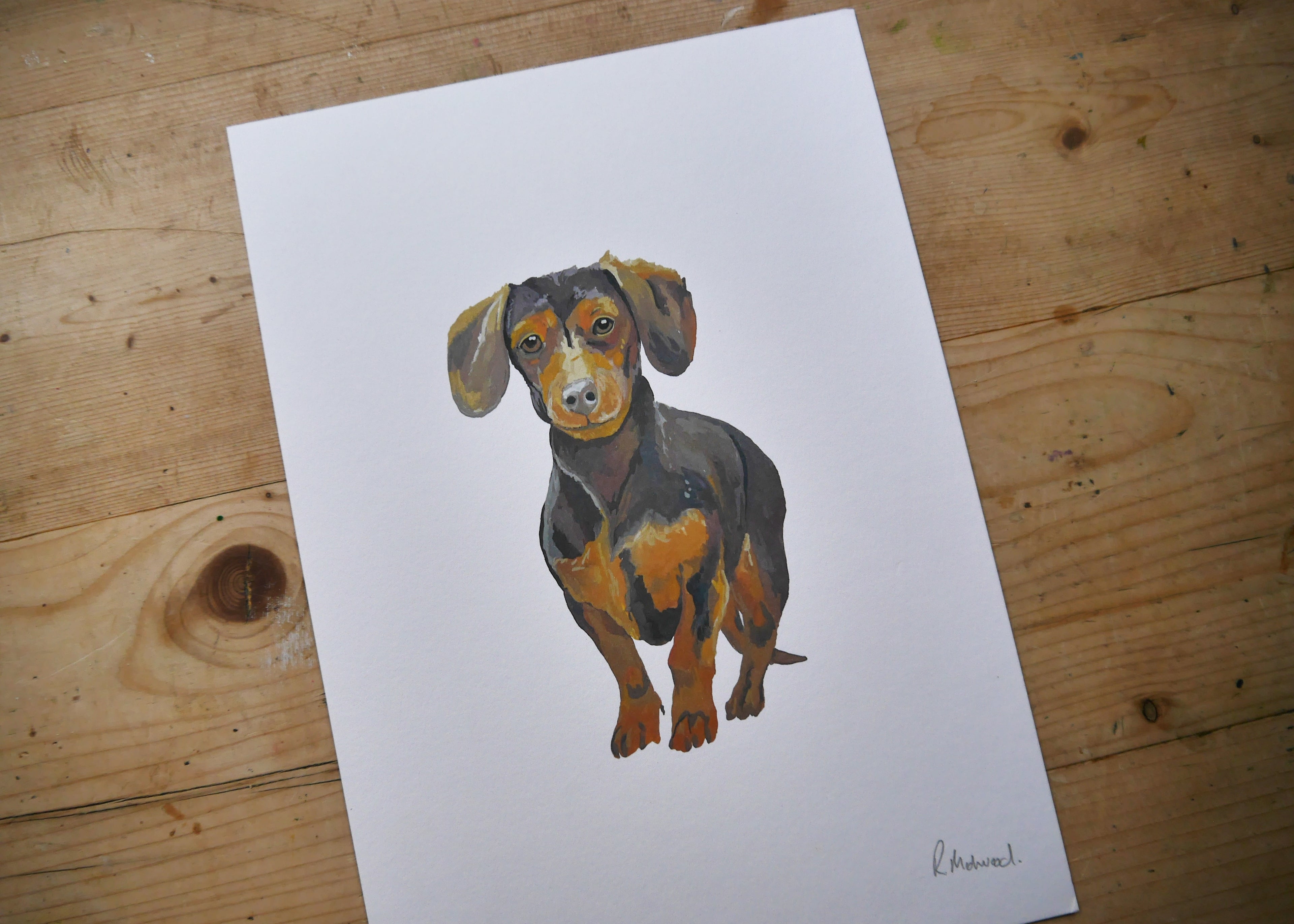 Dachshund Dog Print