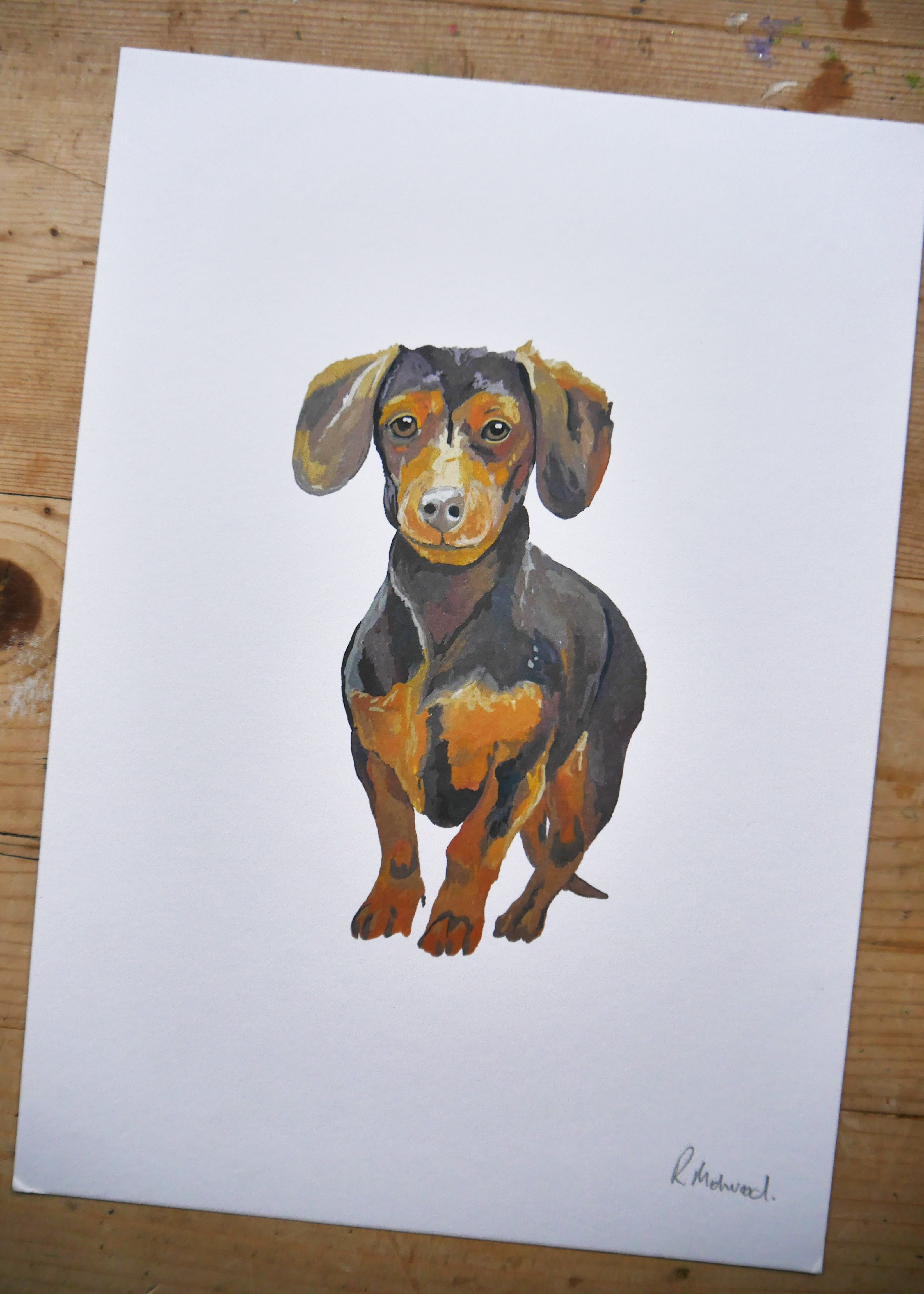 Dachshund Dog Print
