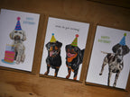 Dog Birthday Greetings Card Pack