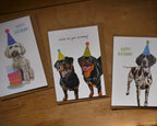 Dog Birthday Greetings Card Pack