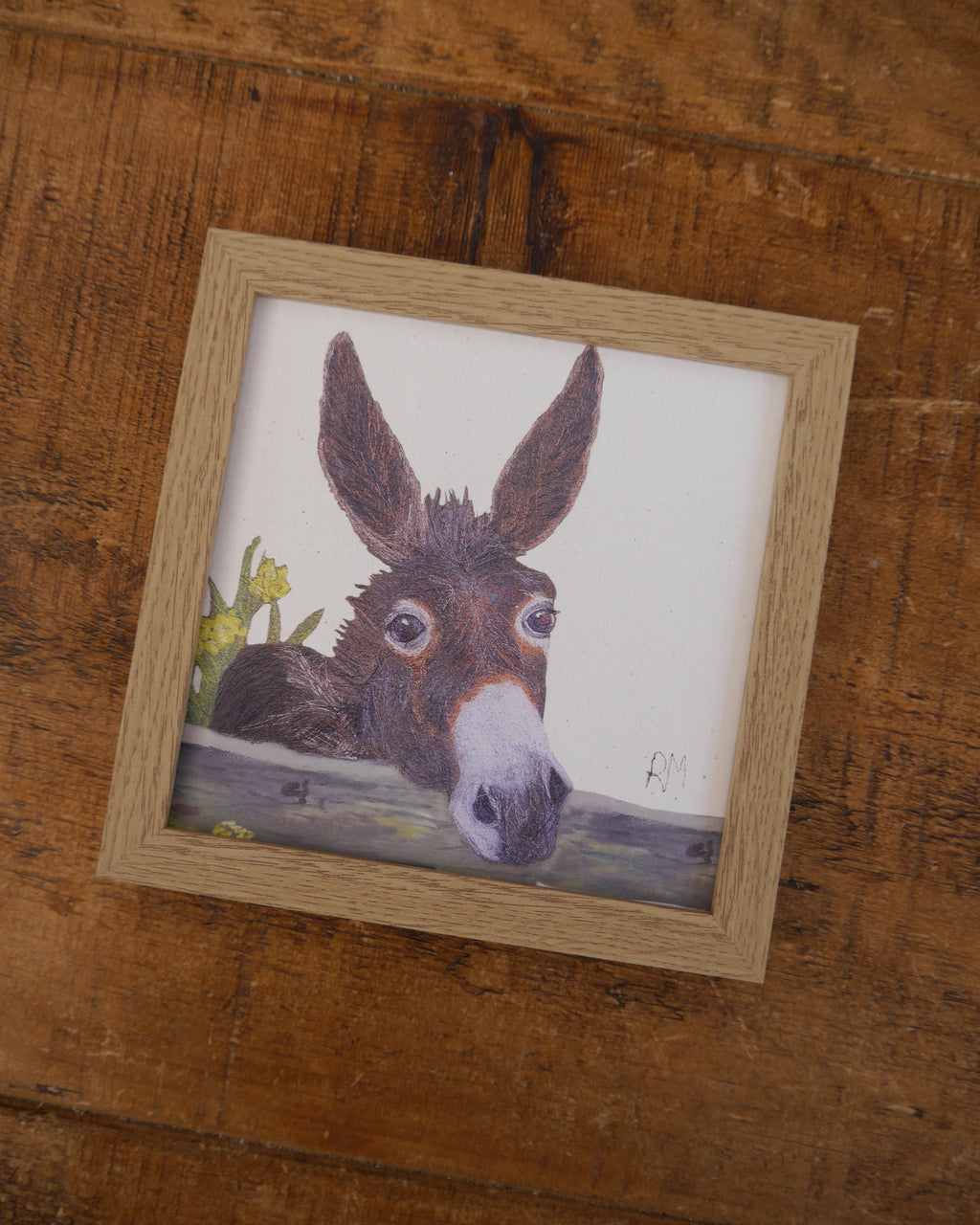 Donkey Small Framed Print