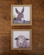 Donkey Small Framed Print