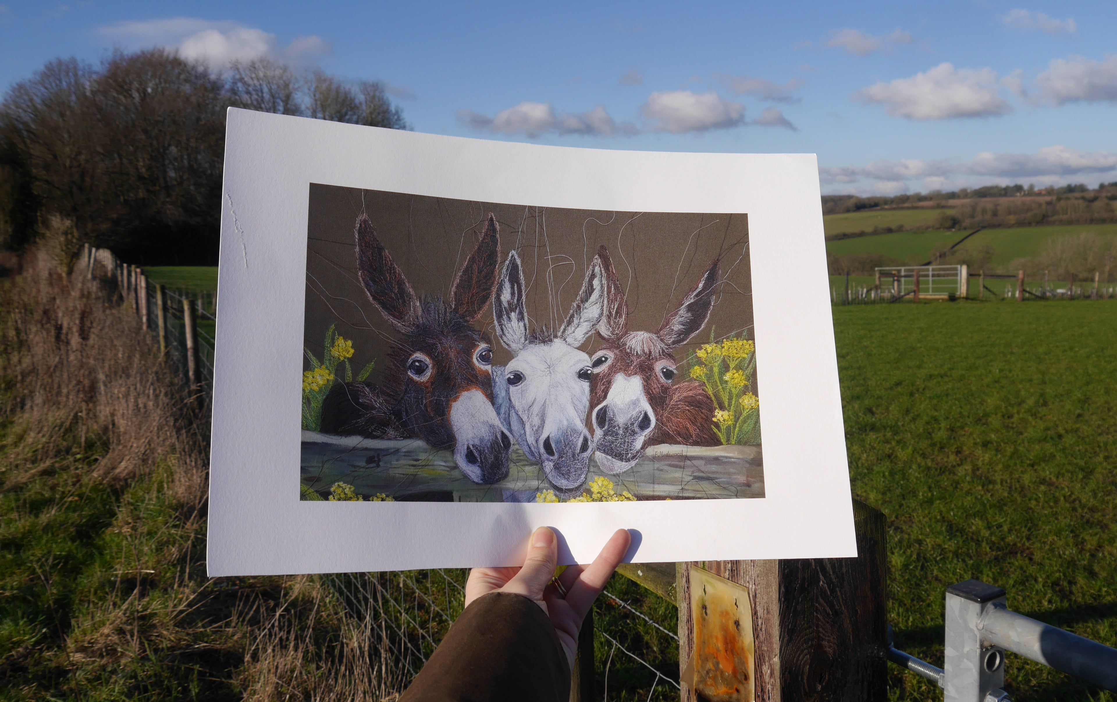 Donkeys Art Print