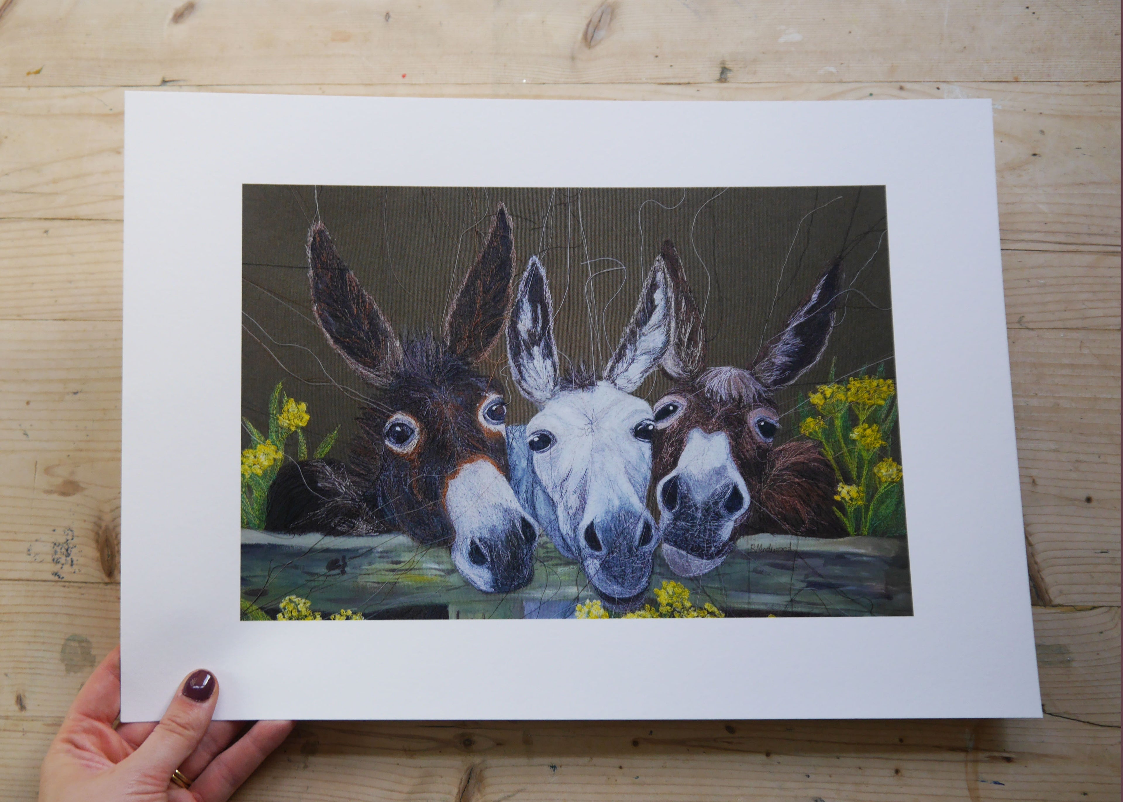 Donkeys Art Print