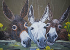Donkeys Art Print