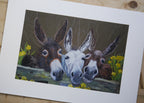 Donkeys Art Print