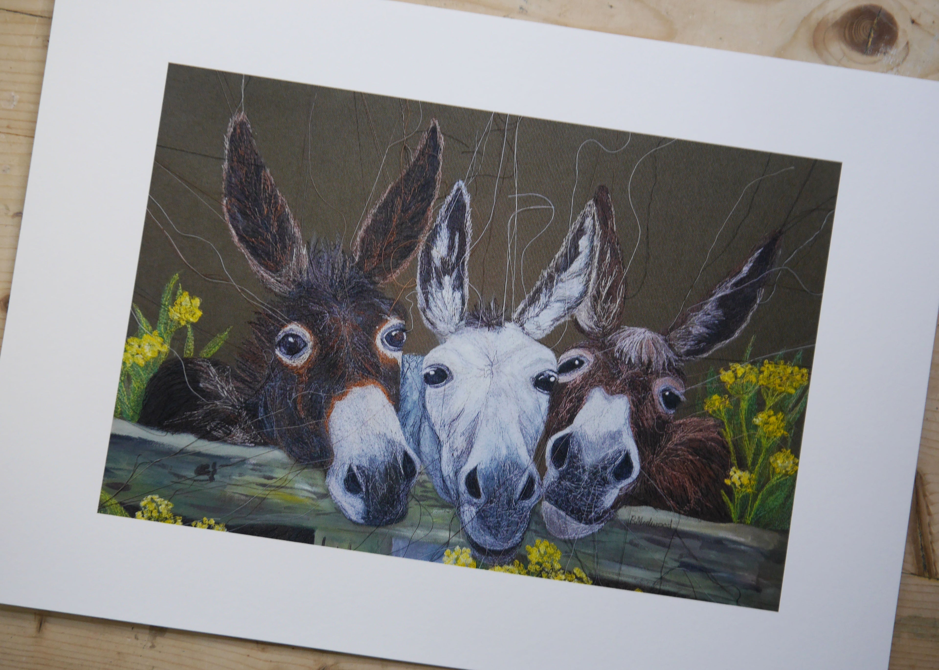 Donkeys Art Print