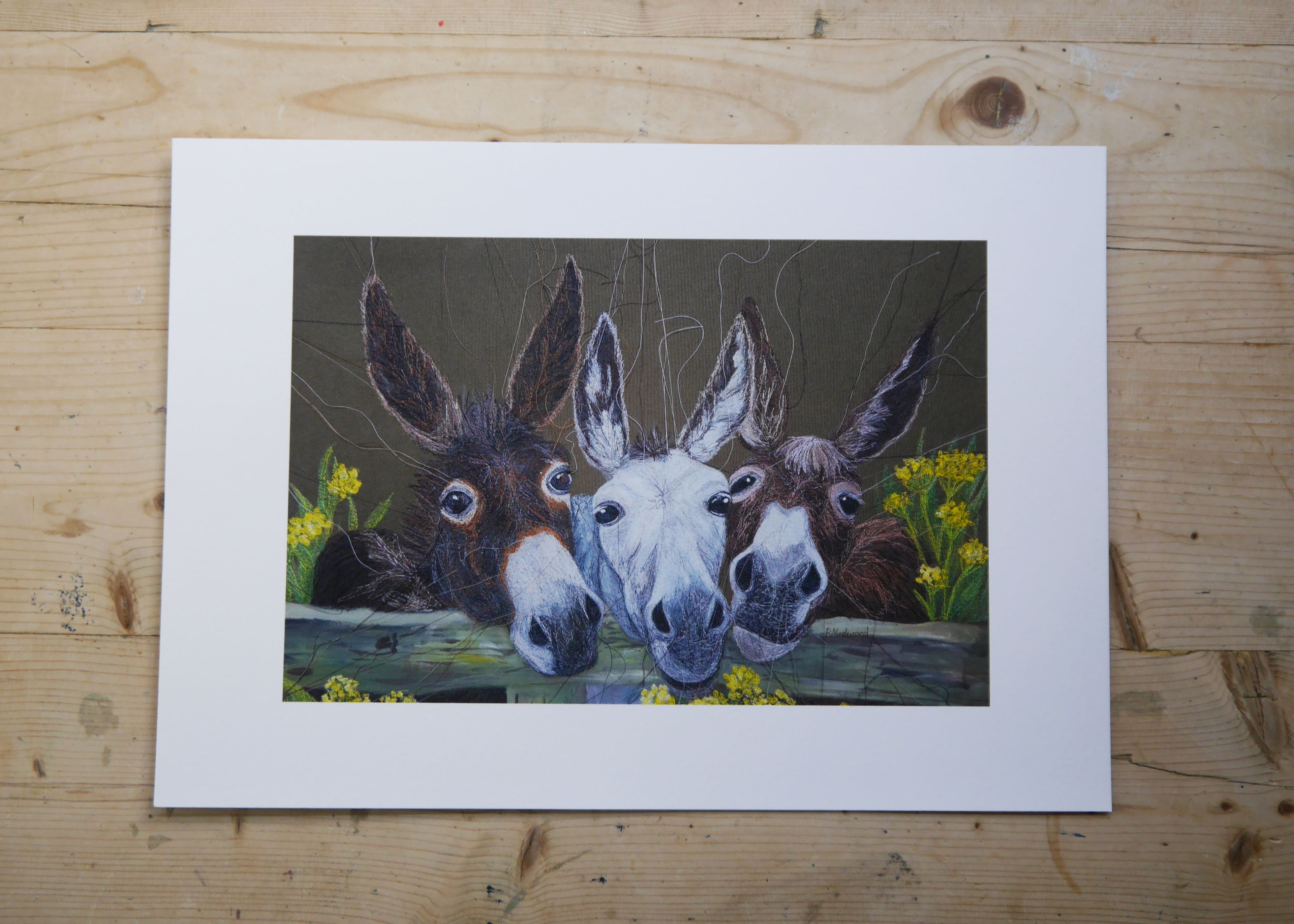 Donkeys Art Print