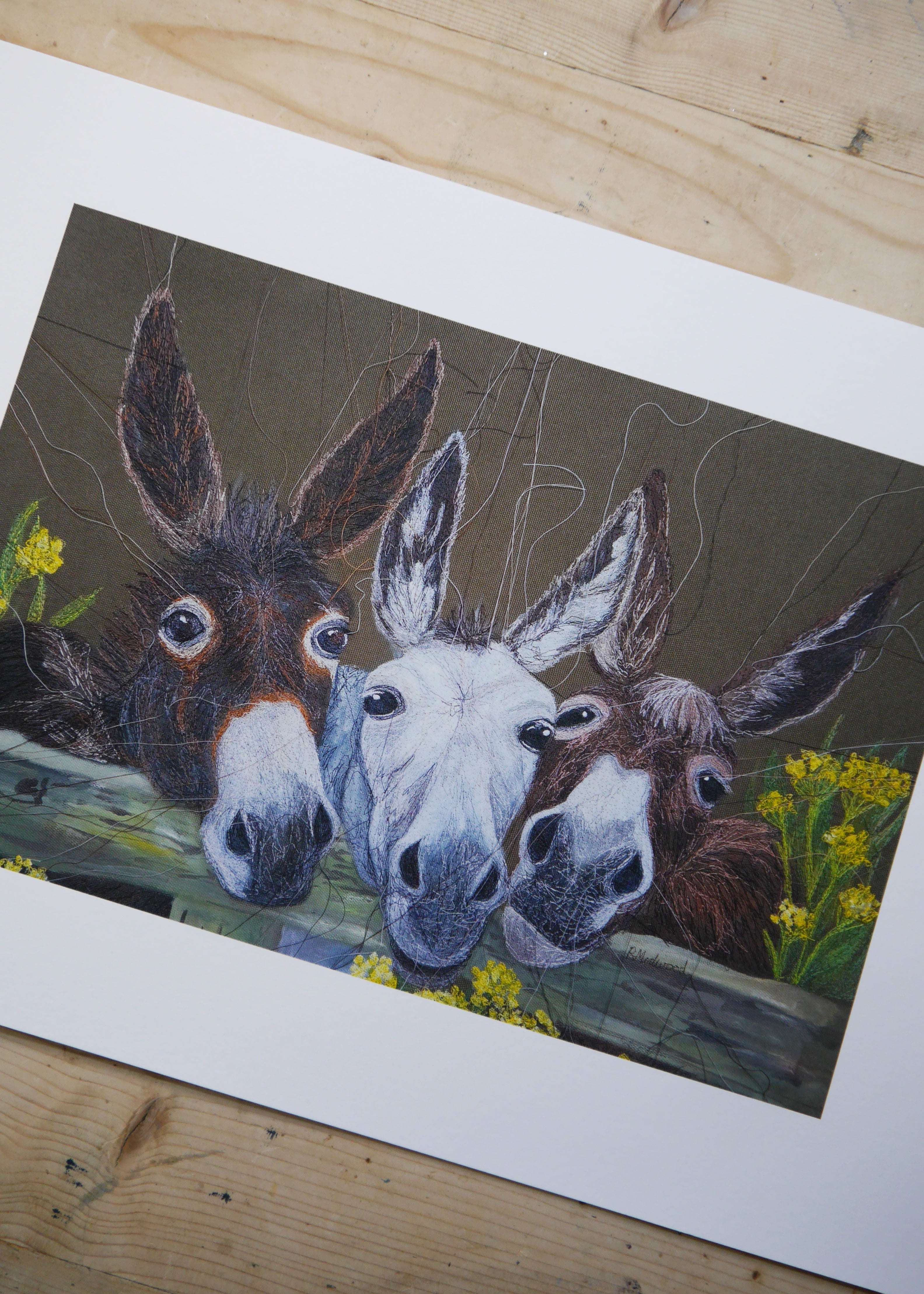 Donkeys Art Print