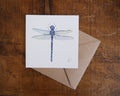 Dragonfly Greetings Card