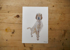 English Setter Dog Print