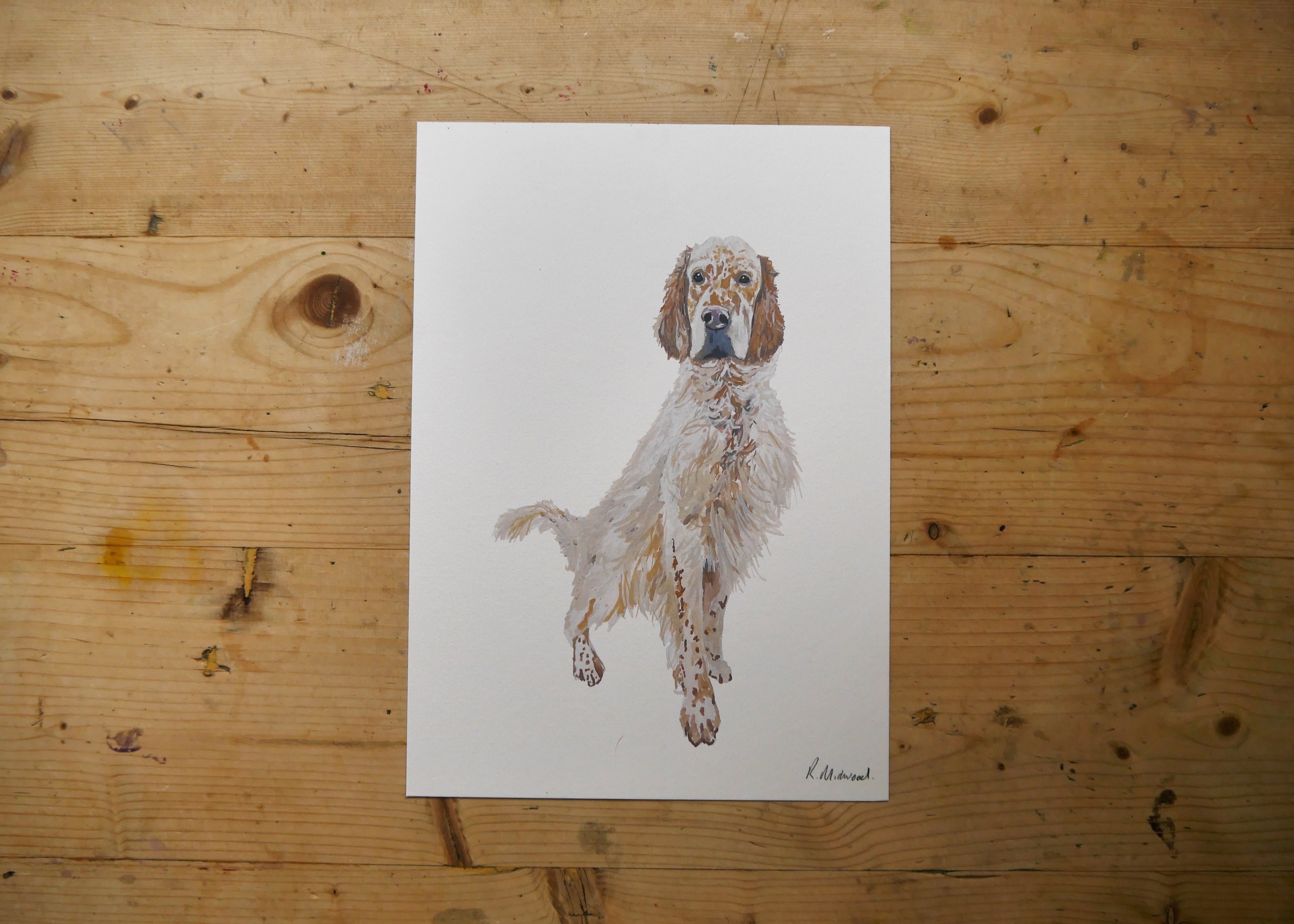 English Setter Dog Print