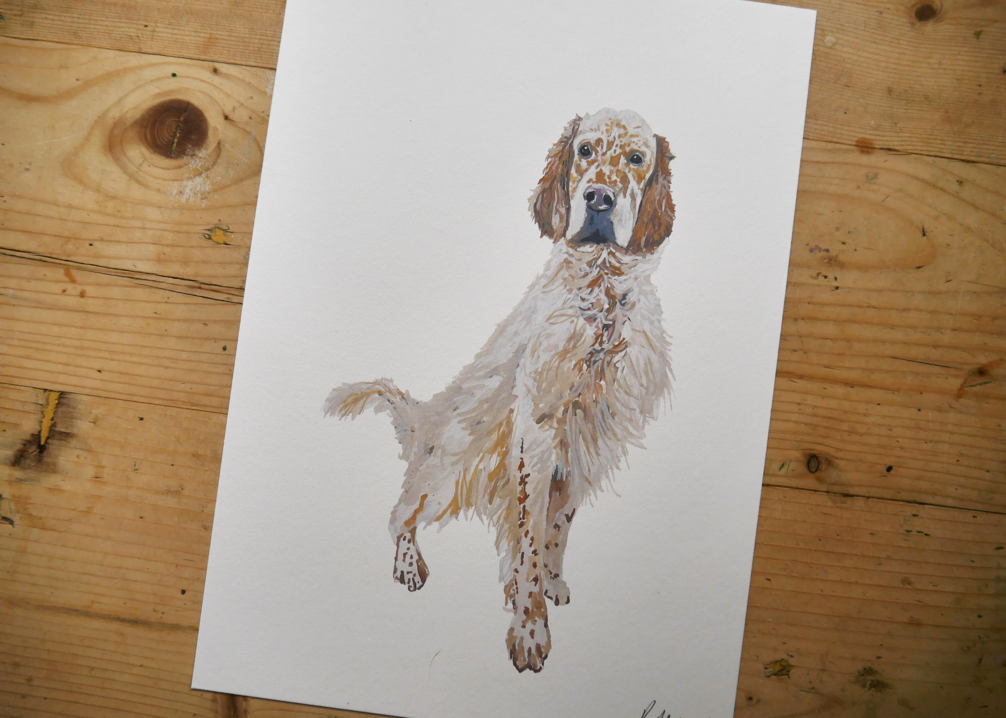 English Setter Dog Print