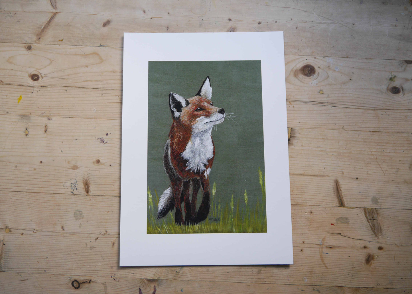 Fox Art Print