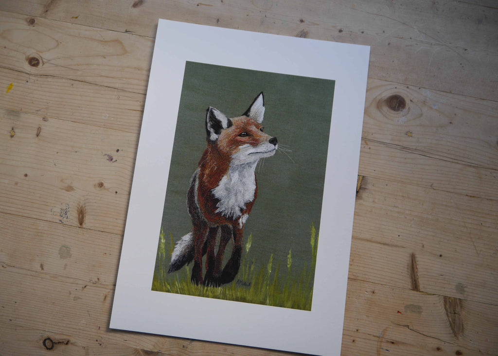 Fox Art Print