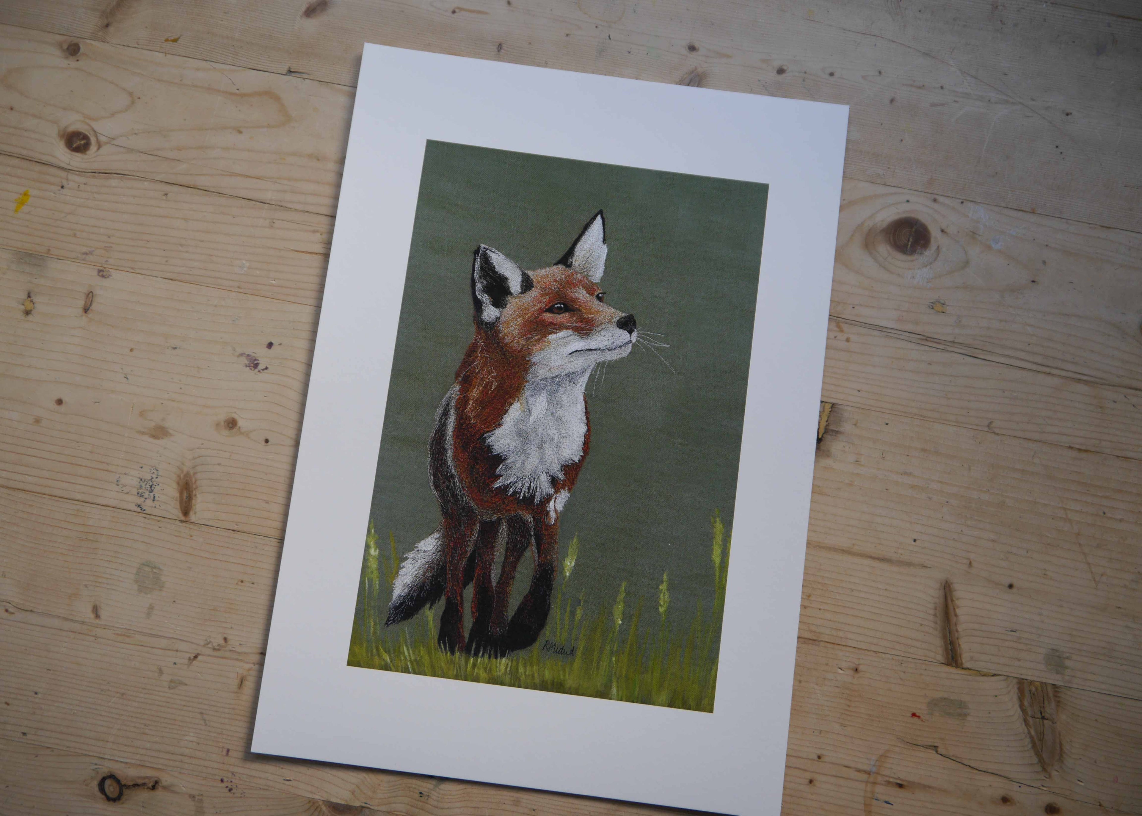 Fox Art Print