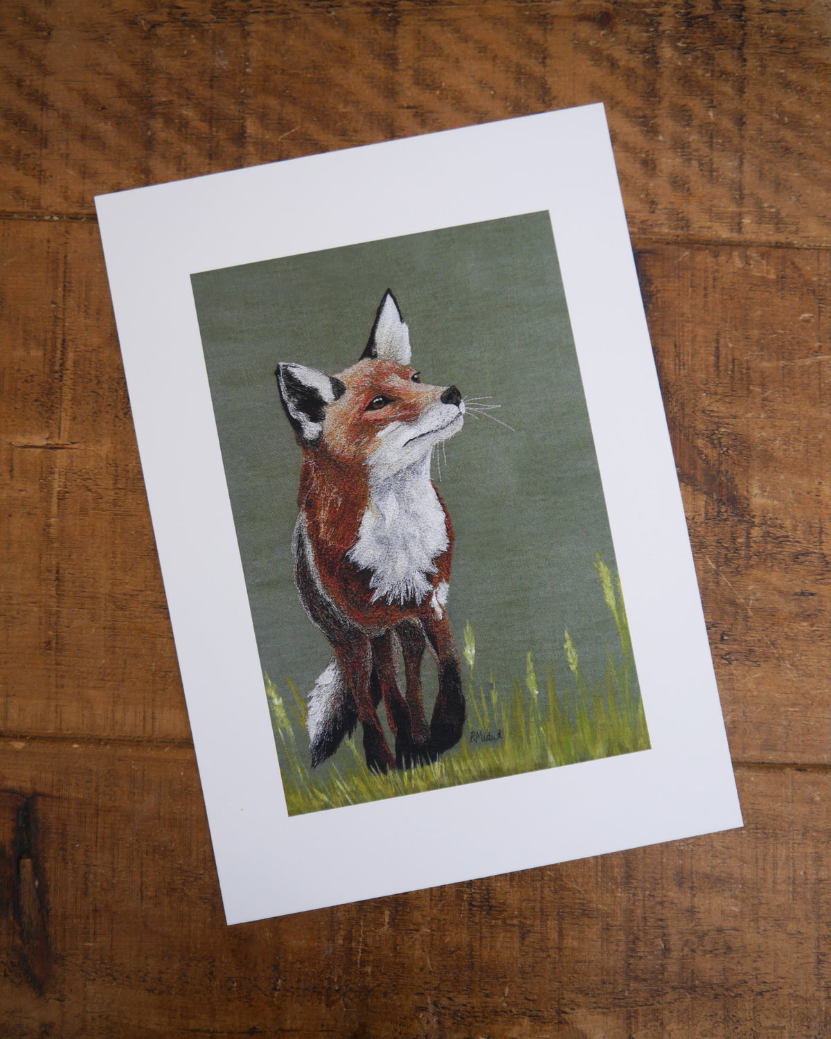 Fox Art Print