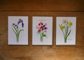 British Blooms Greetings Card Pack