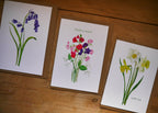 British Blooms Greetings Card Pack
