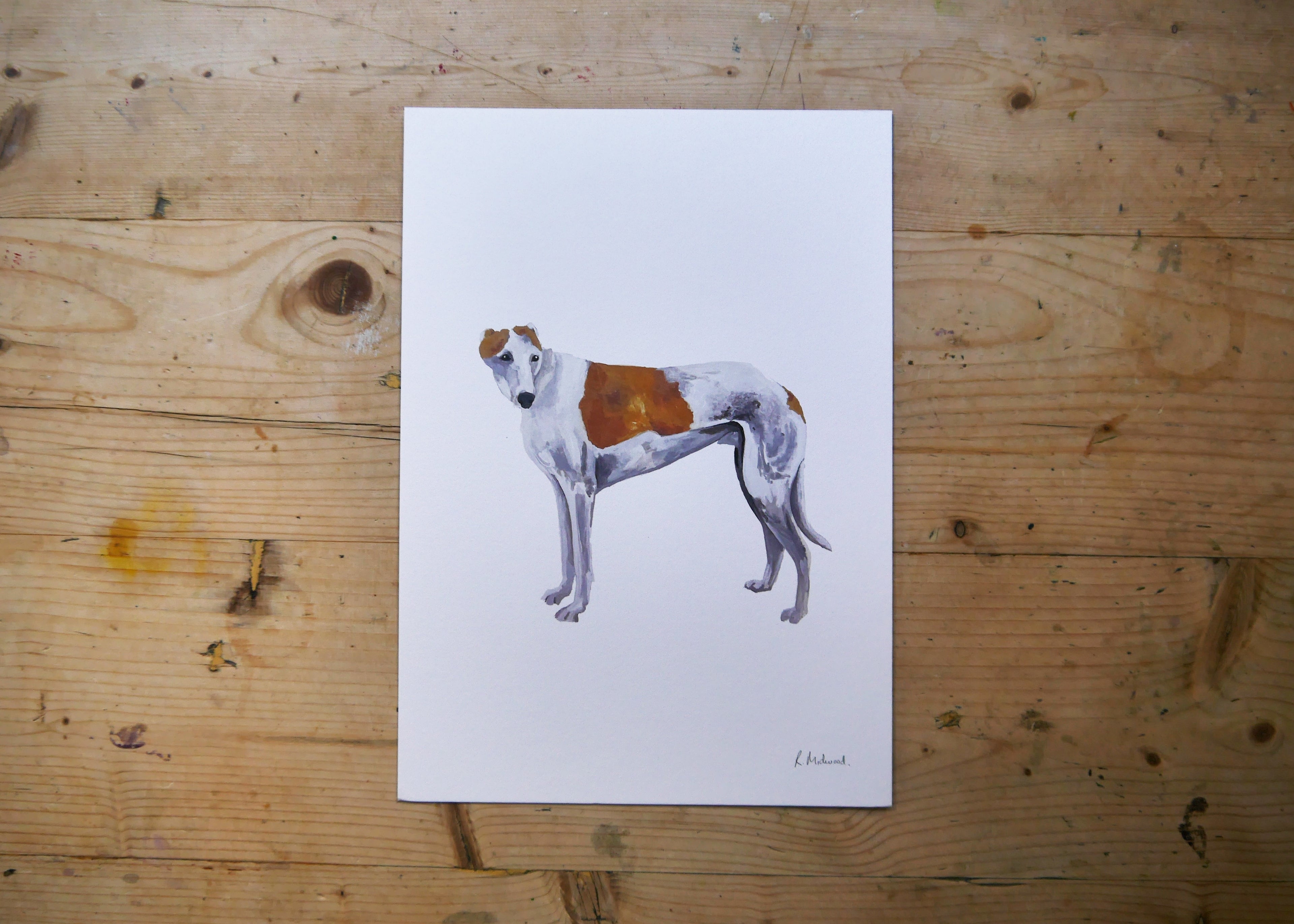 Greyhound Dog Print