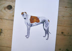 Greyhound Dog Print