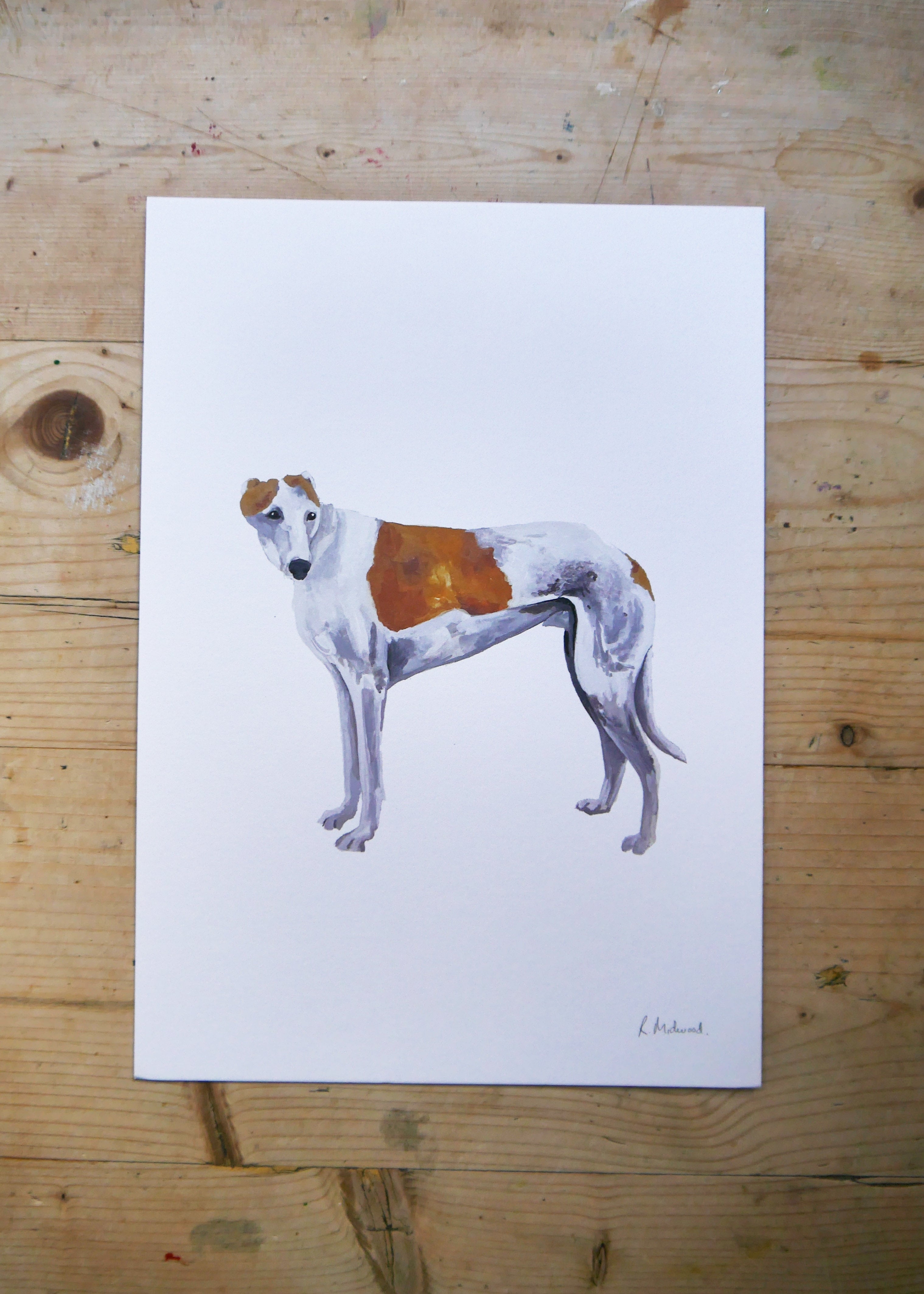 Greyhound Dog Print