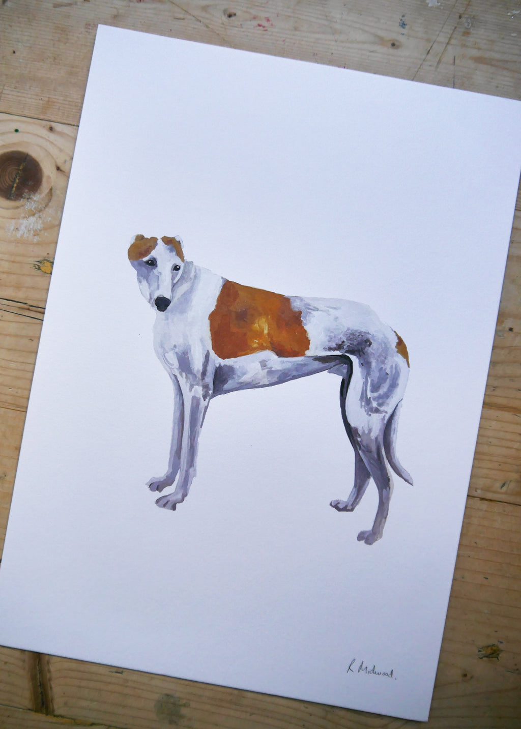 Greyhound Dog Print